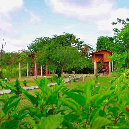 Отель Sigiri Royal Point Tree House Сигирия Экстерьер фото