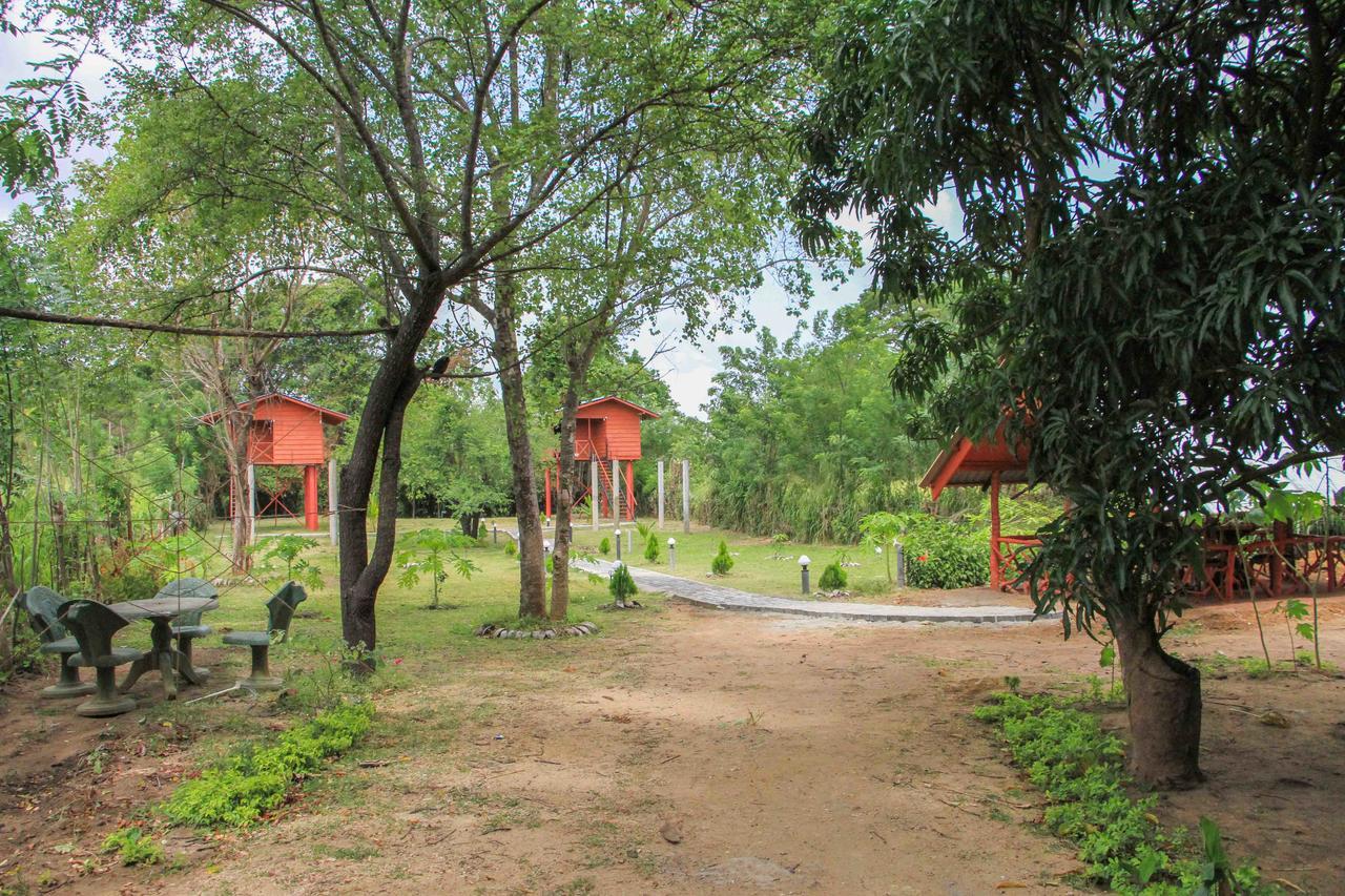 Отель Sigiri Royal Point Tree House Сигирия Экстерьер фото