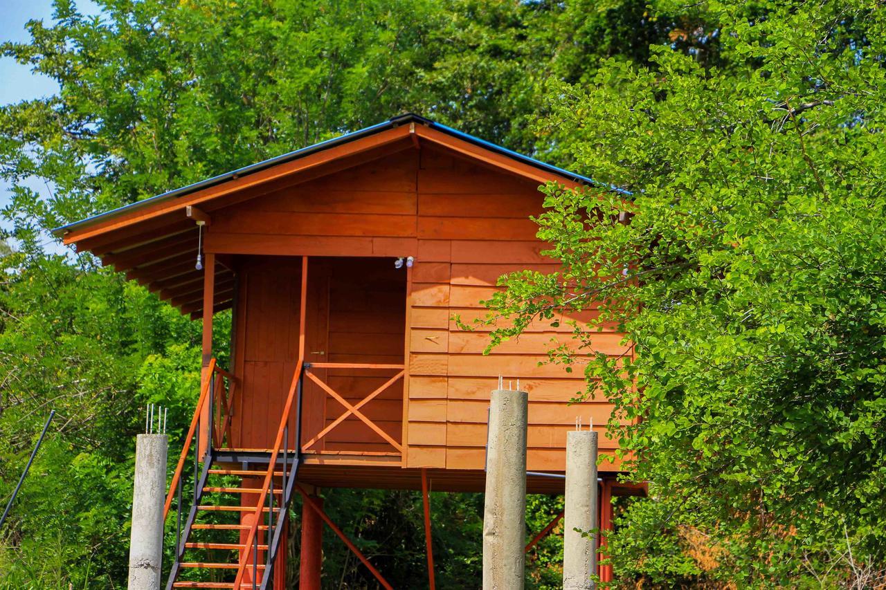 Отель Sigiri Royal Point Tree House Сигирия Экстерьер фото