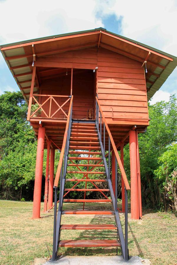 Отель Sigiri Royal Point Tree House Сигирия Экстерьер фото