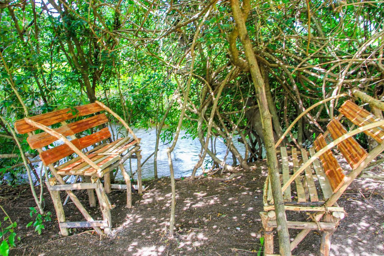 Отель Sigiri Royal Point Tree House Сигирия Экстерьер фото