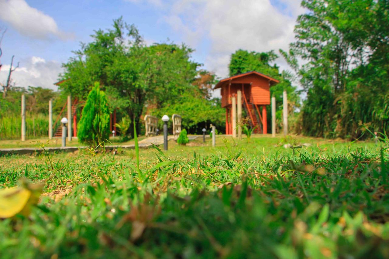 Отель Sigiri Royal Point Tree House Сигирия Экстерьер фото